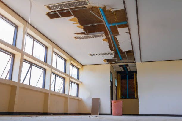  Weedsport, NY Water damage restoration Pros