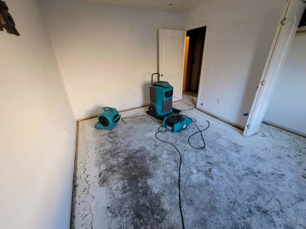 Best Mold removal after water damage  in Weedsport, NY