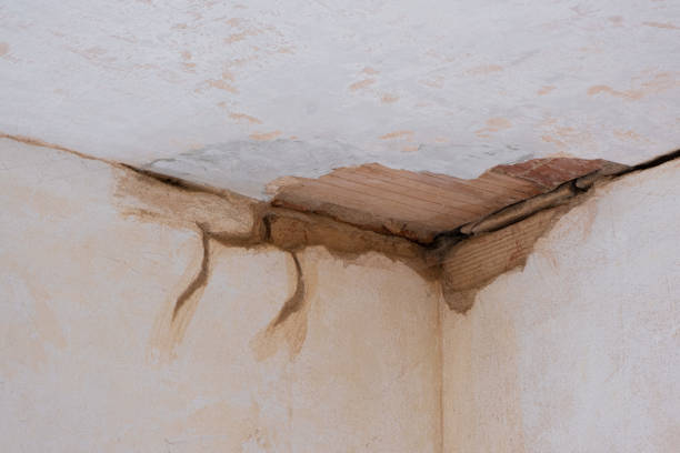 Best Ceiling water damage repair  in Weedsport, NY