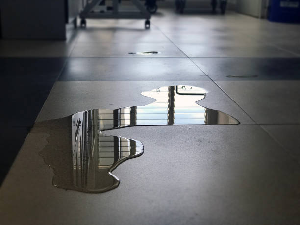 Best Water damage restoration near me  in Weedsport, NY